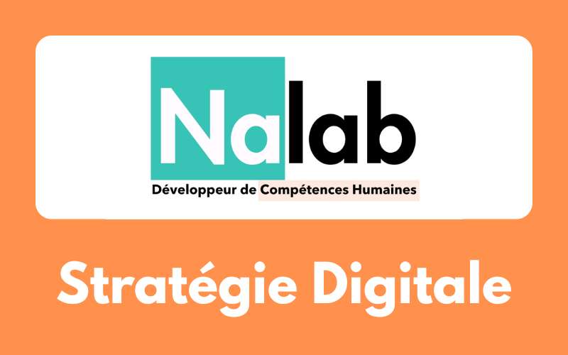 Projet - Nalab - Stratégie Digitale